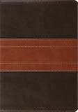 ESV Study Bible (TruTone, Forest/Tan, Trail Design)