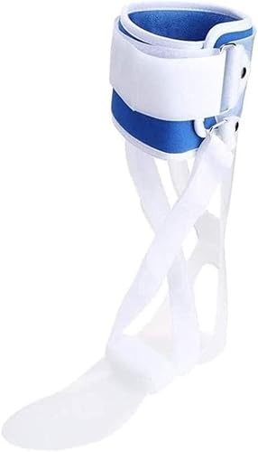 񑫑hbvtbg߉\ȑ񑫃T|[gX^rCU[oɂ̃hbvƔw^p(Color:Right,Size:L)