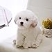 Fangesang Peluche per Cani di pezza Simulazione Carina Animali Domestici Bambole Soffici Regali di Compleanno per Bambini Cucciolo di Bichon Frise