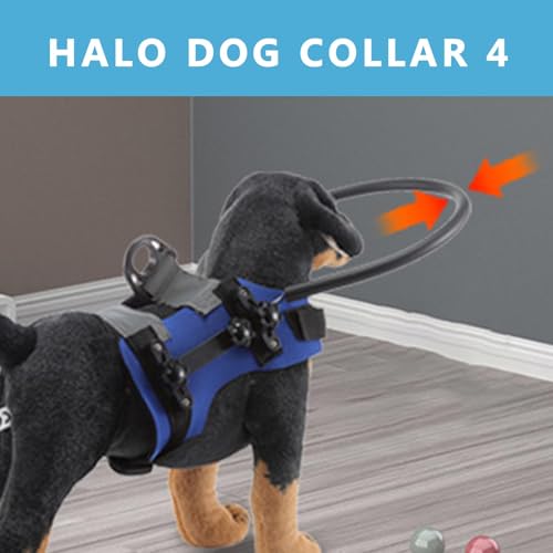 Harnais pour chien aveugle léger et protecteur avec collier réglable