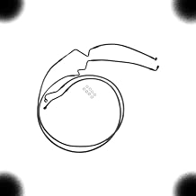 TM NEXDYNAMI AS77036 Brake set Compatible with Magnum/Harley Davidson Karbon Fiber Designer ABS Lower