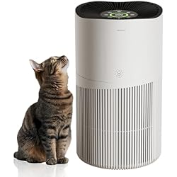 Amazon.co.jp: Neakasa A1PRO 空気清浄機 26畳対応 ＋ 交換用H13 HEPA