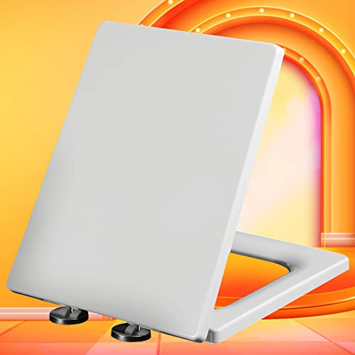 Tapa Wc Roca Dama Gris Marca Generic