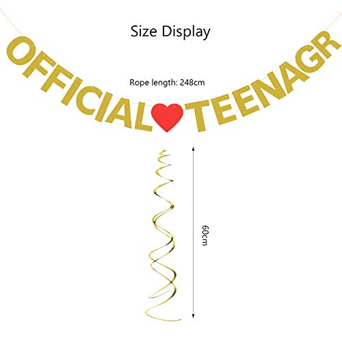 Official Teenager Banner, LANMOK 13th Happy Birthday Banner with 6pcs Glitter Ceiling Swirls Hanging Decor for 13th Birthday Party Supplies Ceremony Decorations
