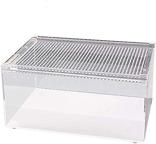 SYXLS Reptilien Teppich 3m - EVA Substrat Für Terrarien Eidechsen Schlangen