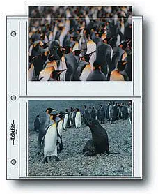 Print File Premium Series-S Archival Storage Page for Prints - 25 Pack