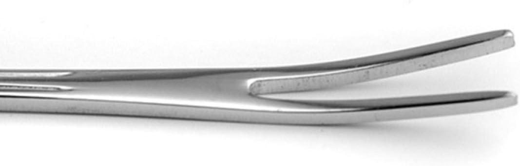 5pcs Stainless Steel Fruit Forks, Dessert Forks