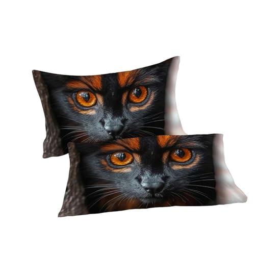 Housse de couette double animaux 3D Le Chaton Bedding garçon - 7