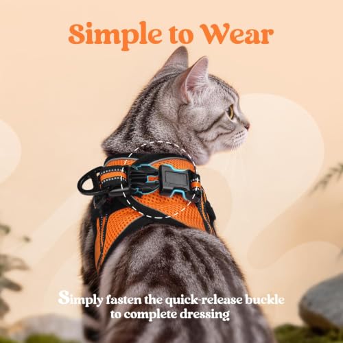 Image of rabbitgoo Cat Harness and Leash Set, Step-in Soft Vest, Orange | Escape Proof, Lightweight, Easy-on & Adjustable, Hook & Loop with Buckle, Reflective, for Small Cats Walks, L