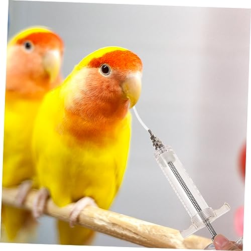 BESPORTBLE 2 Conjuntos De Alimentador Para Animais De Estimação Papagaio Pássaros Alimentador De Pás