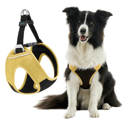 Image of Gooby Escape Free Easy Fit Plus Dog Harness, Miami Yellow, Large | Escape-free contracting fit; Triple-layer neoprene build; Metal leash rings; Reflective linings; Soft chest padding