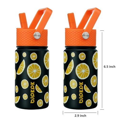 Image of BJPKPK Insulated Water Bottle, 15oz Stainless Steel with Straw Lid