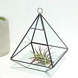 ❤ Showcase escaparate ideal para bodas, fiestas, fiestas, oficinas y decoraciones. Un diseño moderno que se adapta a cualquier lugar, también es ideal para presentar velas votivas y velas.