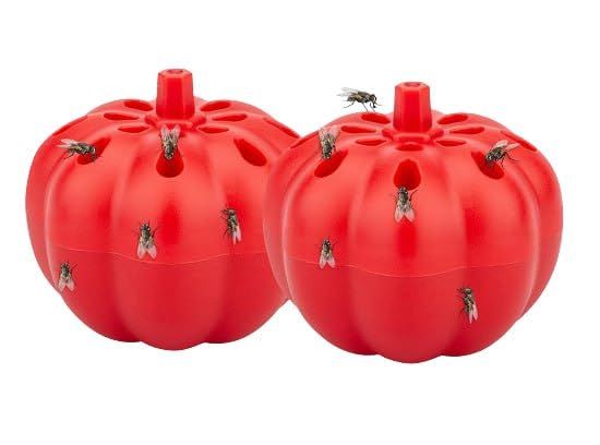 Fly Trap Device, Red Pumpkin Shape, Non-Toxic, Smokeless, 2.4 x 2.2 inch-image-8