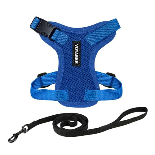 Image of Voyager Escape-Proof Step-in Lock Cat Harness & 5ft Neoprene-Handle Leash Set All-Weather Mesh with Reflective Stitching for Small to Large Cats by Best Pet Supplies, Royal Blue, XS