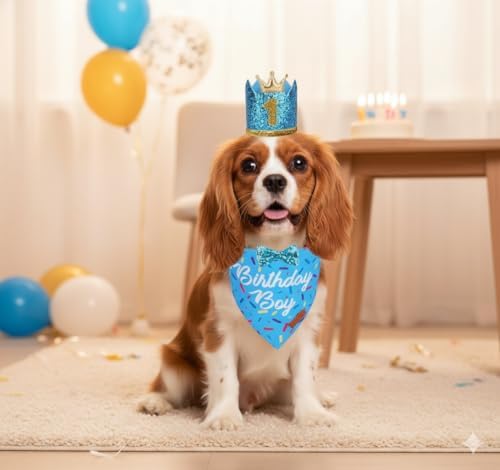 Dog Birthday Party Supplies Set, Pet Celebration Decorations Kit image 5