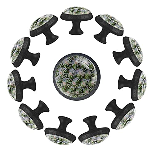 Boutons de tiroir cactus pour remplacer les poignées ternes de commode - 2