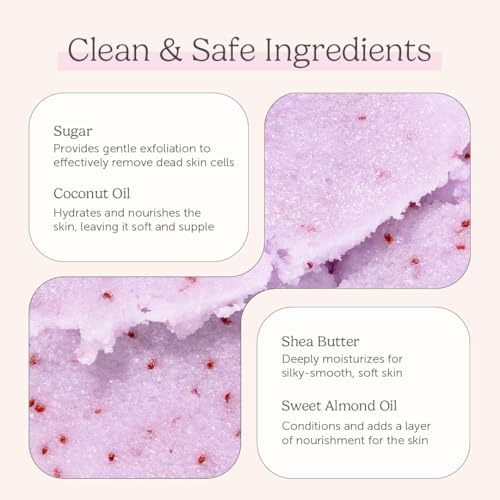 Nectar Life Exfoliating Sugar Scrub, Moisturizing Body Scrub with Coconut Oil & Shea Butter, Pre Shave Exfoliator (16 Ounce, Lavender)