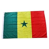 Amplia APLICACIONES: La bandera de poliéster senegal se puede usar como una bandera para fincas al aire libre, decoración conmemorativa para familiares y amigos, y regalo en la pared de la habitación.