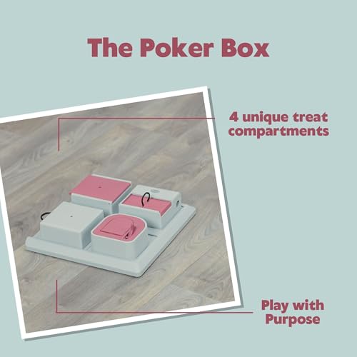 Trixie TX-4597 Cat Activity Poker Box 31x31 cm