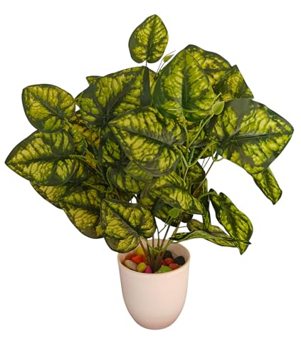 Image of Natural Looking Artificial Money Plant /Tree with Pot | Ornamental Plant for Interior Decor | Home /Shop /Office Decor (Yellow-Green-New)