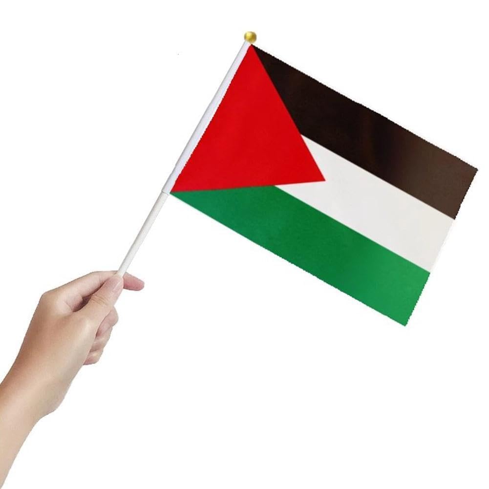 Palestina bandiera palestinese con palo I Stand mano sventolando