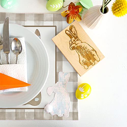 Arkeny Easter Bunny Placemats 12X18 Inches Set Of 4,Rabbit Home Dining Indoor Spring Holiday Farmhouse Tabletop Decor Ap245 #TOP3