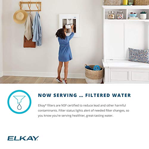 Elkay Lbwd06Bkk Ezh2O Liv Built-In Filtered Water Dispenser, Remote Chiller, Midnight #TOP5