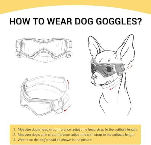 NAMSAN Hundebrille für Kleine Hunde UV-Schutz Hunde Sonnenbrille mit Einstellbar Gummiband Winddichte Hunde Motorradbrille-Schwarz