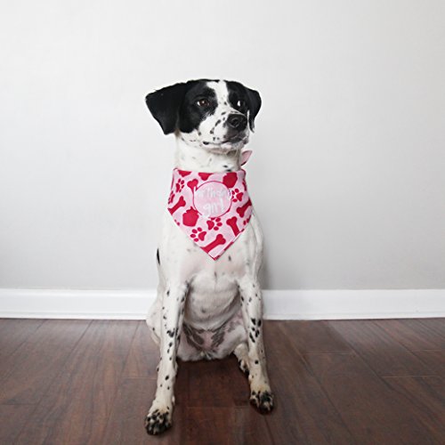Dog Birthday Bandana - Girl #TOP3