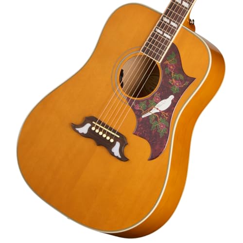 Amazon | Epiphone/Studio Collection Dove Studio Natural | エレアコ