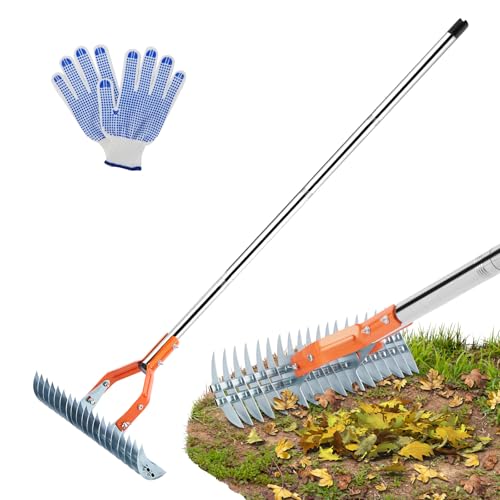 Garden Rake