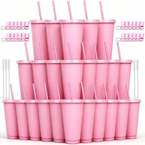 Alohastarttg 24 oz Reusable Plastic Cups, Custom Cups for Party with Lids and Straws, 24 Pack Iced Coffee Travel Mugs or Mean Girls Party Tumblers, Leak-Proof Coffee Travel Mug (24, Pink)