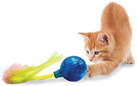 zany cat toy