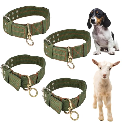 4 Stück Verstellbares Dickes Hundehalsband, Tierhalsband, Schafhalsband, Hundehalsband Canvas Halsband, Verstellbares Schafhalsband, für Pferd, Rind, Hund, Kamel, Bitte überprüfen sie die größe(XL)