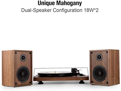 1 BY ONE Tourne Disque Wireless avec Système Hi-FI Intégré et Enceintes d’Etagère 36 Watts, Vynile avec Cartouche… - Les Beatles, Paul McCartney, John Lennon, RIngo Starr, George Harrison 1 BY ONE Tourne Disque Wireless avec Système Hi-FI Intégré et Enceintes d'Etagère 36 Watts, Vynile avec Cartouche… – Image 7