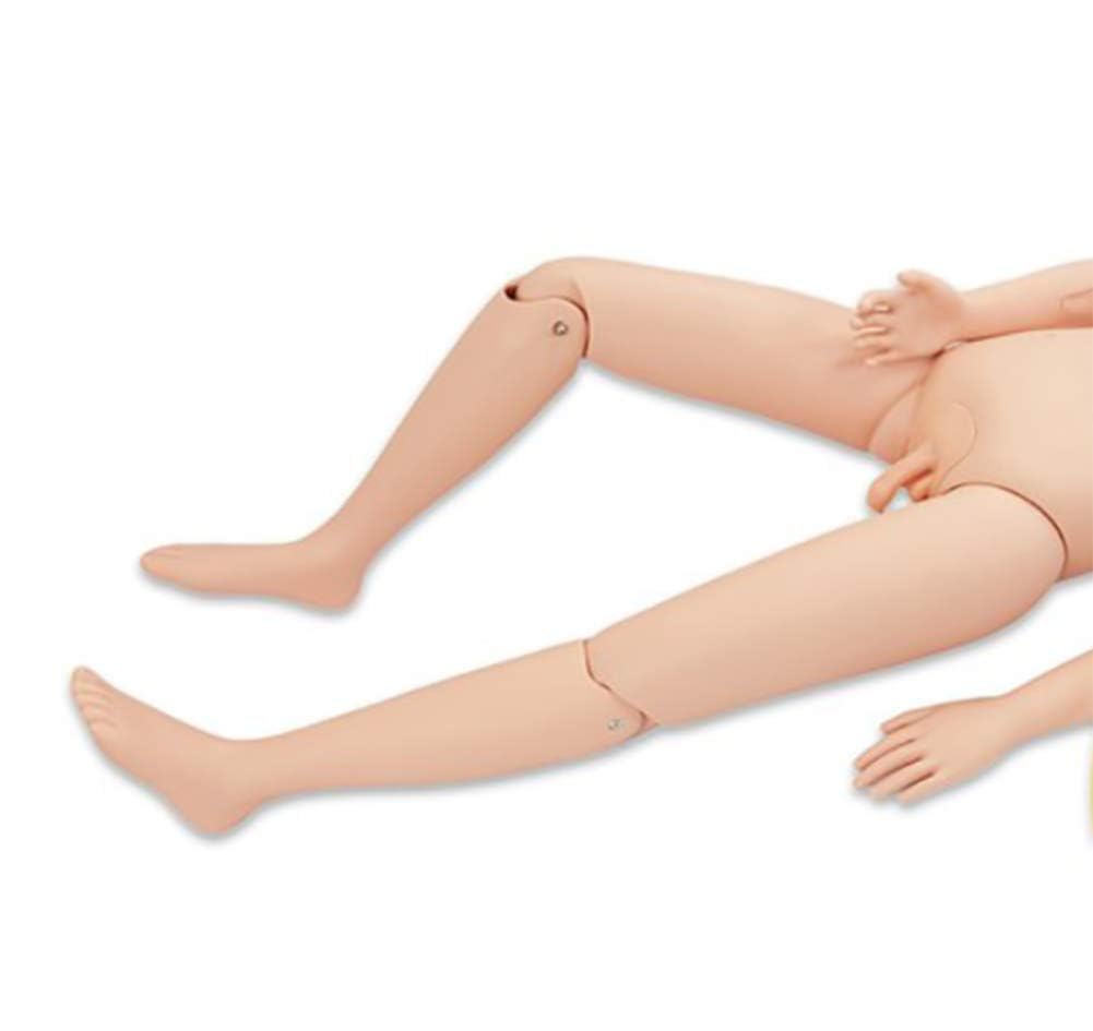 DARZYS Patient Care Medical Manikin, 170Cm, Patient Care Simulator for Nursing Medical Training(Male)