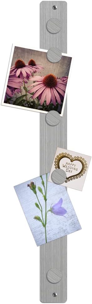 Three by Three Seattle 28 x 2.5 Inch Metal Strip Frameless Magnetic Bulletin Board with 5 Magnets for Memos, Photos, Lists, and More in Office, Home, or School Décor (2 Pack, Stainless)