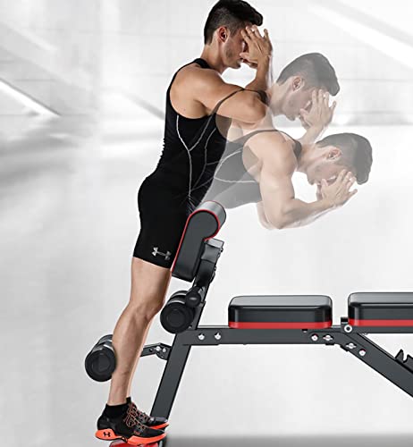 Romeinse Stoel Multifunctionele Hyperextensiebank voor Commercieel/Thuis/Sportschool, Opvouwbare Romeinse Stoel voor Buik- / Taille- / Rugoefeningen, Gemakkelijk te Trainen - Image 3