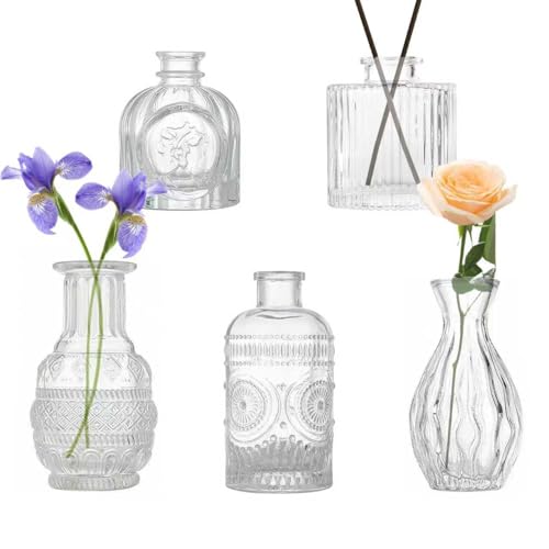 5 PCS Small Glass Bud Vases Set, Small Vase for Flowers, Mini Vases for Flowers | Rustic Wedding Table Decoration & Home Decor | Handmade Centerpieces for Party Reception Coffee Table丨Vintage Vase