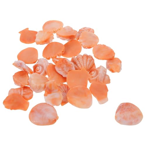 Kisangel 30~jCLLi ^CL NtgpMѐ CmiϗpVFtB[