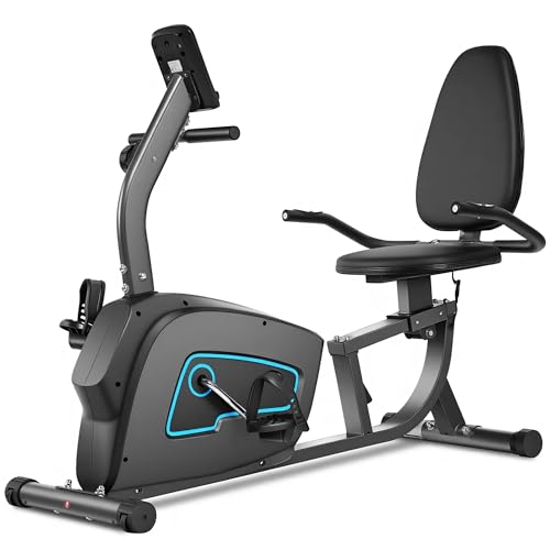 Exercise Bike Recumbent Exercise Bike for Home Stationary Bike Sturdy Quiet 8 Levels Large Comfortable Seat Heart Rate Handle & Device Holder 300 LB Weight Capacity