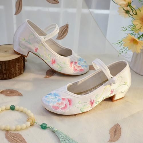2025 Women's Chinese Style Floral Embroidery Ankle Strap Shoes Elegant Low Chunky Heel Cheongsam Hanfu Shoes Casual Comfort Stage Show Mary Jane Shoes3