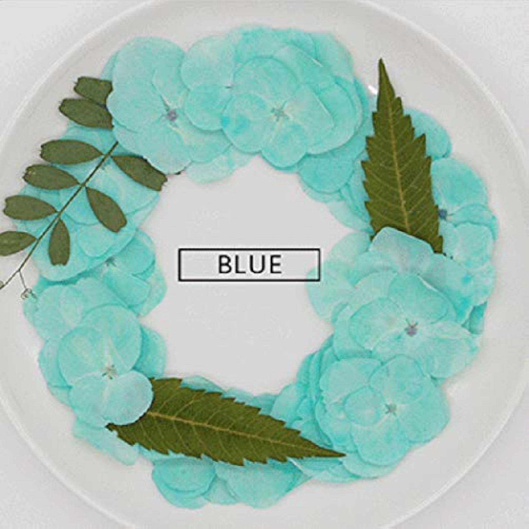 60PCS Pressed Hydrangea Flowers for Scrapbooking