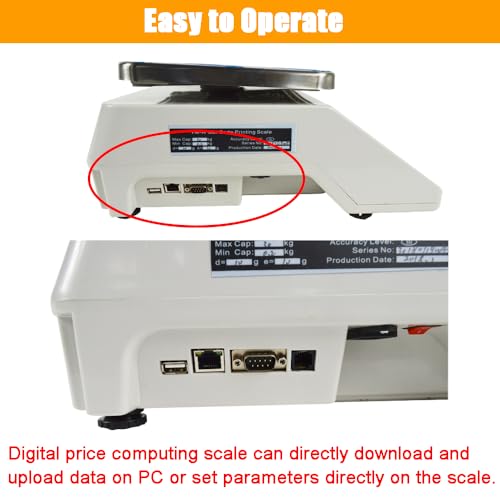 Báscula Comercial Digital INTBUYING 66LB Pantalla LCD miniatura 7