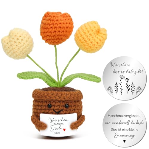 MorLuks Gehäkelte Blumen, Pocket Hug Tulpe mit Umarmung Glücksbringer, Gestrickte Blumenpuppe, Positive Blume, Mutmacher Geschenk für Freund Familie Kollegen Z16-6