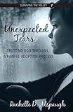 Unexpected Tears: Trusting God through a Painful Adoption Process (Surviving the Valley) - Rachelle D. Alspaugh 
