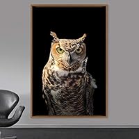 Framed Canvas Wall Art Owl Birds Dramatic Farmhouse/Country Home Office Multicolor Owl Photography - 16x24 inches