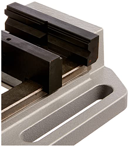 Bosch Accessories Professional Zubehör 2 608 030 057 Maschinenschraubstock MS 100 G 135 mm, 100mm, 100 mm