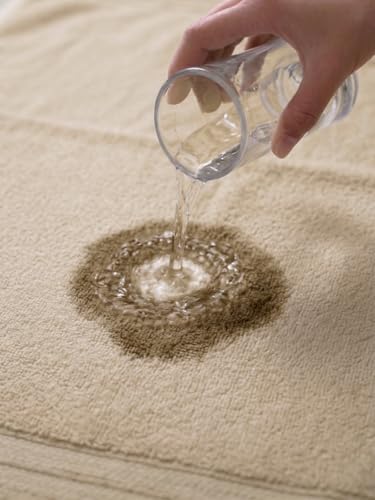 Image of Monte Carlo Essential 100% Cotton Bath Towel | 340 GSM Ultra Lightweight & Quick Dry | Soft Absorbent Large Towel 75x150 cm | Skin Friendly Daily Use Bathroom Towel for Men & Women (Soho) | Oat